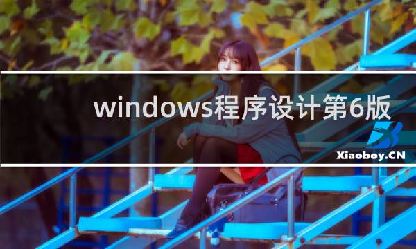 windows程序设计第6版