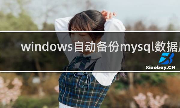 windows自动备份mysql数据库