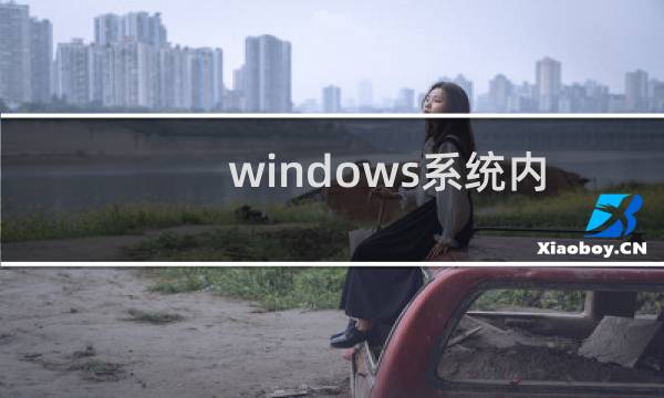 windows系统内存优化的九个小技巧