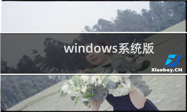 windows系统版本在哪里可以查看