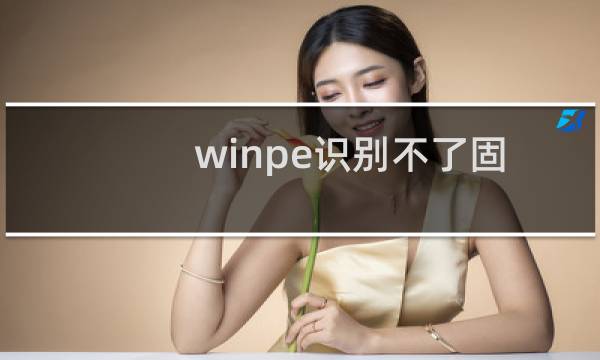 winpe识别不了固态硬盘怎么办