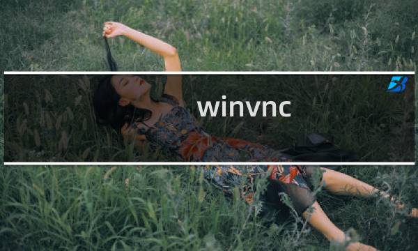 winvnc.exe进程是什么