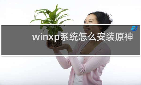 winxp系统怎么安装原神