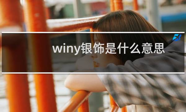 winy银饰是什么意思