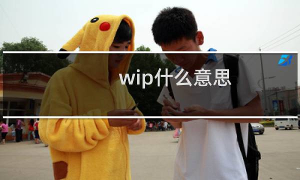 wip什么意思（wip）