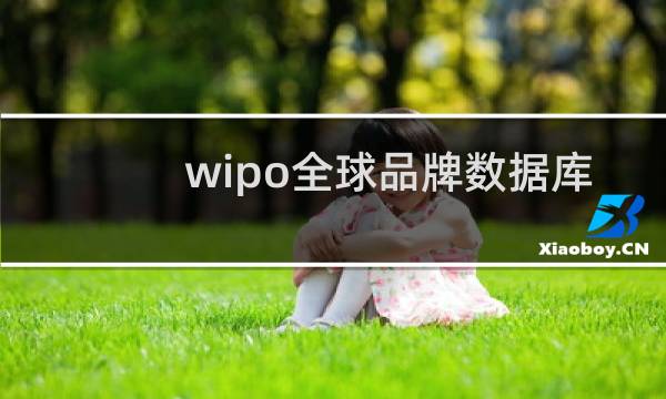 wipo全球品牌数据库
