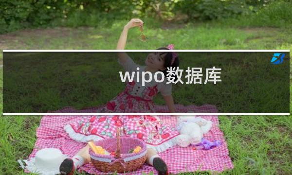 wipo数据库