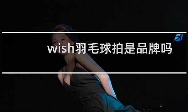 wish羽毛球拍是品牌吗