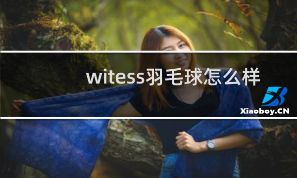 witess羽毛球怎么样