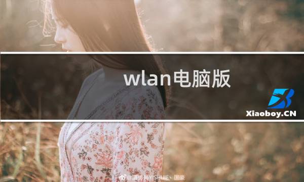 wlan电脑版（电脑上wap网）