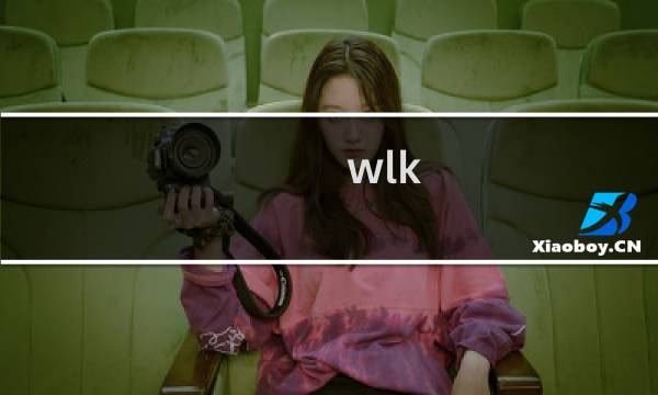 wlk 盗贼攻略