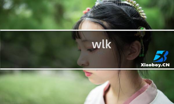 wlk 防骑攻略