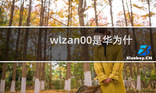wlzan00是华为什么型号手机