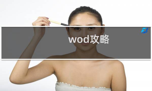 wod攻略