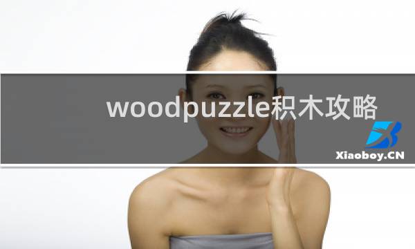 woodpuzzle积木攻略