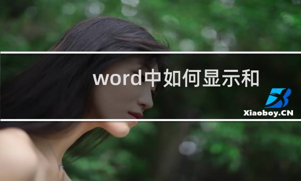 word中如何显示和隐藏的工具栏