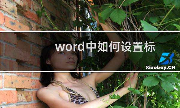 word中如何设置标题