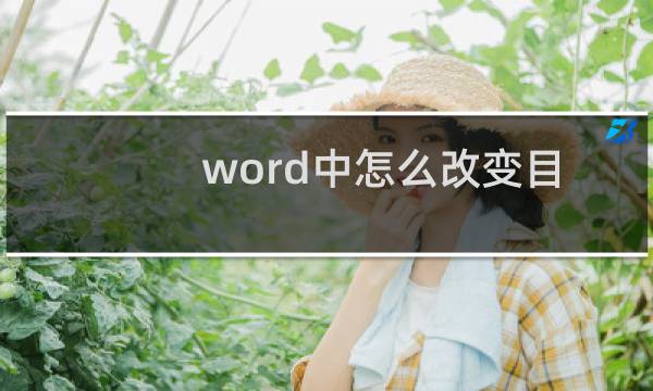 word中怎么改变目录字体大小