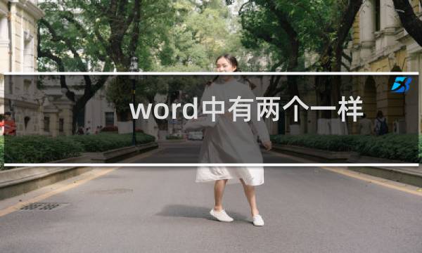 word中有两个一样MathType的按钮怎么删除?