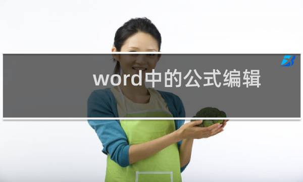 word中的公式编辑器