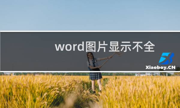 word图片显示不全只有一半怎么办?