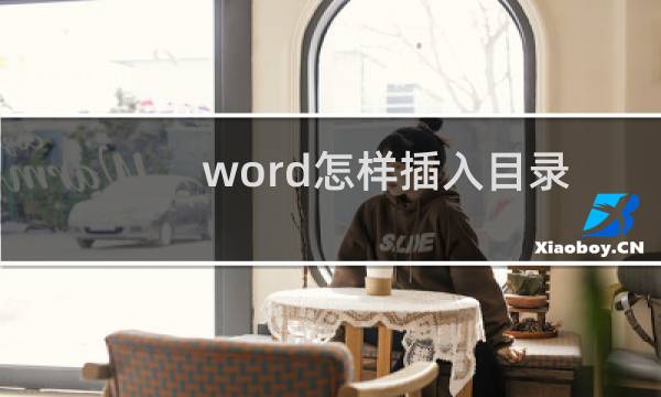 word怎样插入目录?word2007文档插入目录介绍
