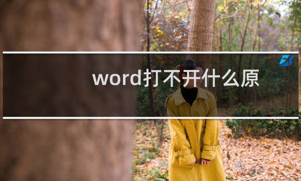 word打不开什么原因/word打不开怎么解决方法