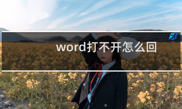 word打不开怎么回事?（word打不开怎么回事）图片