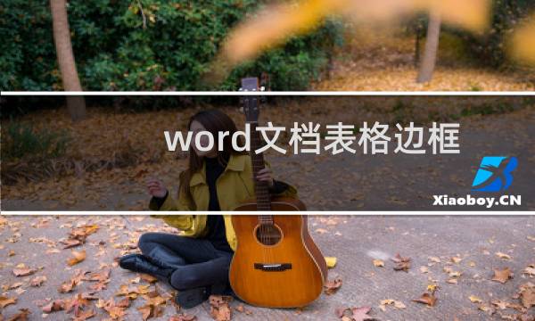 word文档表格边框线和内部线如何设置不同颜色？