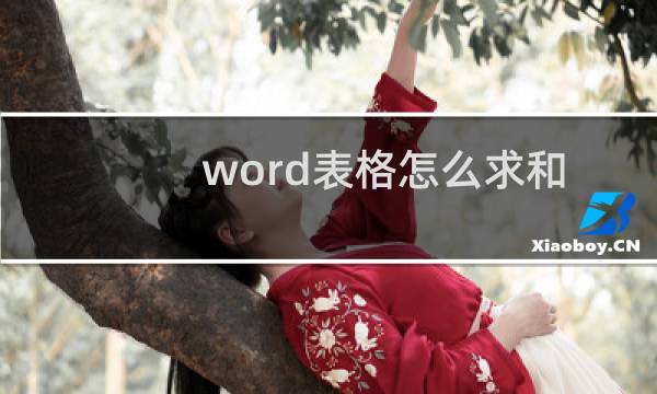 word表格怎么求和?