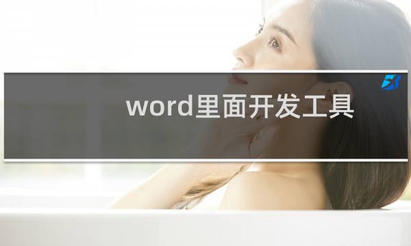 word里面开发工具选项在哪里（word2010开发工具选项卡在哪）