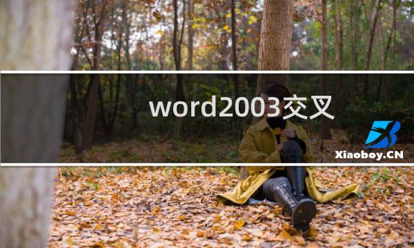 word2003交叉引用功能怎么用于图注?