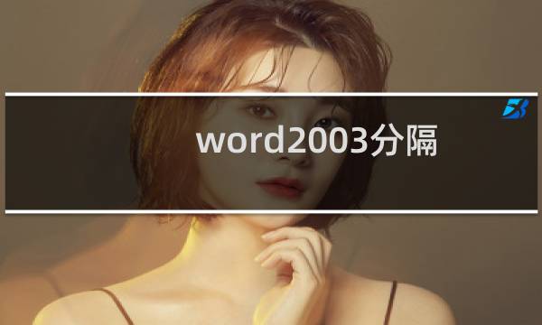 word2003分隔符怎么使用