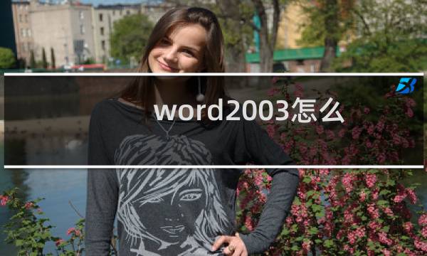 word2003怎么添加带图片LOGO的页眉与页脚?