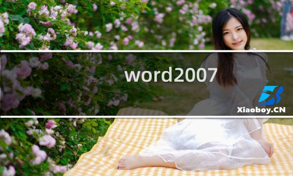word2007 如何插入分栏线