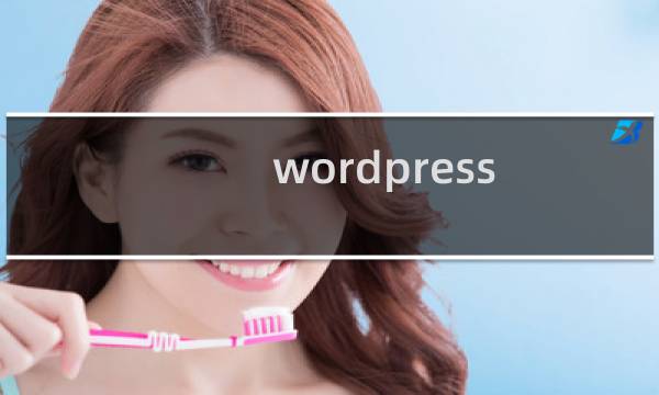 wordpress 源码 分析