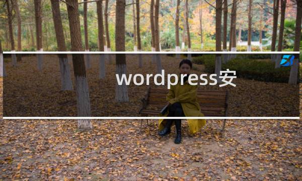 wordpress安装不了主题