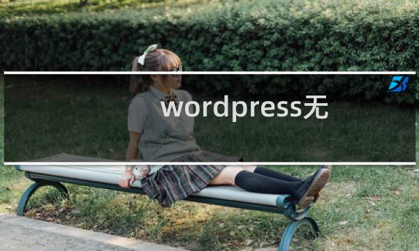 wordpress无法安装插件