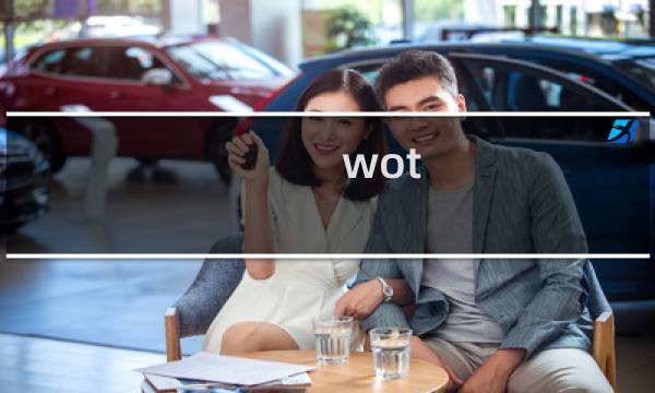 wot is攻略