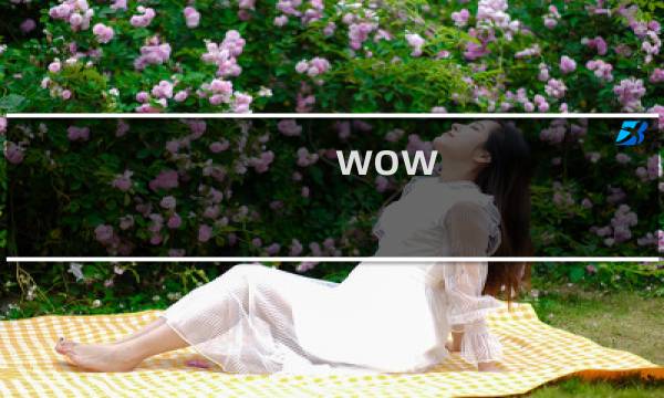 wow 双子攻略