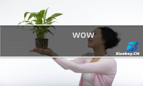 wow 声望攻略