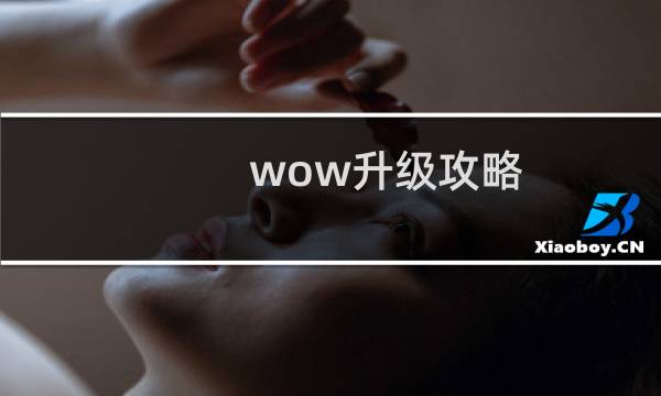 wow升级攻略