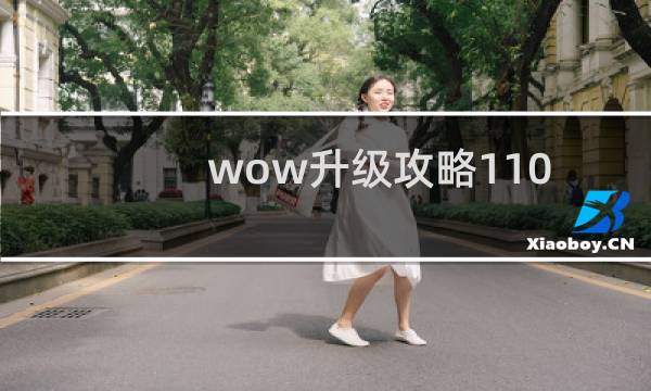 wow升级攻略110