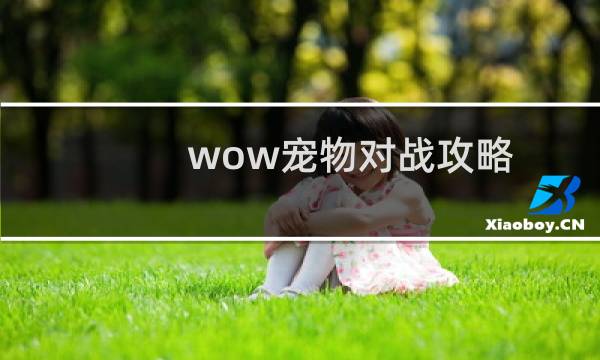 wow宠物对战攻略
