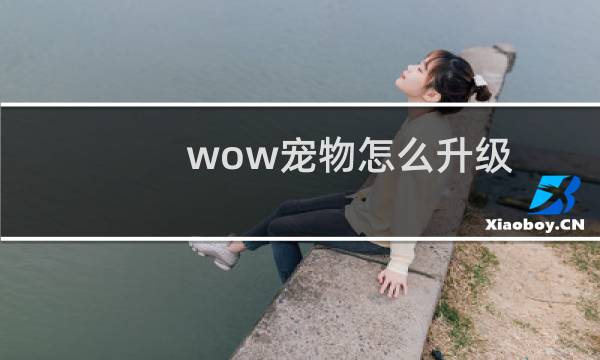 wow宠物怎么升级