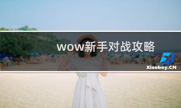 wow新手对战攻略