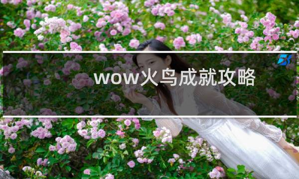 wow火鸟成就攻略