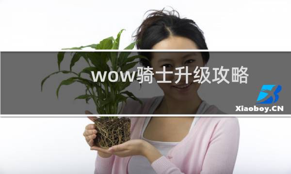 wow骑士升级攻略