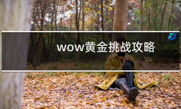 wow黄金挑战攻略