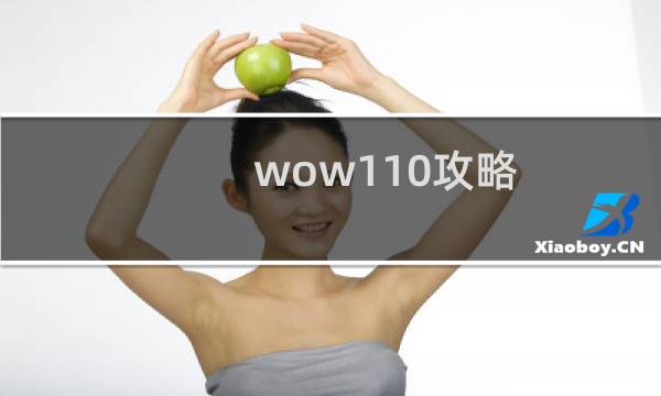 wow110攻略
